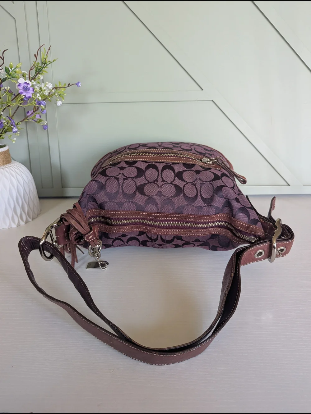 Coach Brown Signature Canvas Hobo Bag